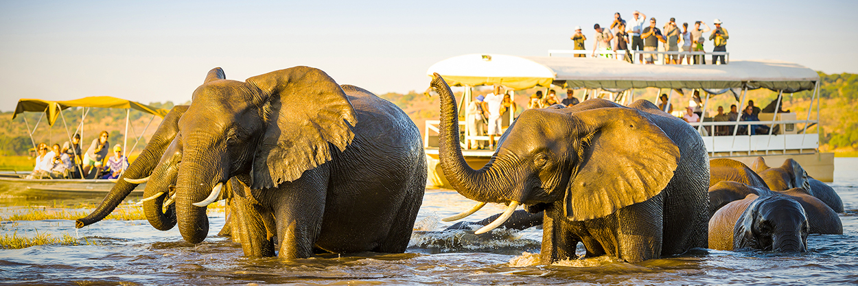 Unforgettable Botswana Tours