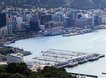 Best Time to Visit Wellington