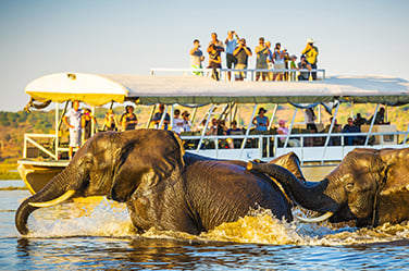 Botswana Tours