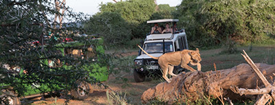 Kenya Tours