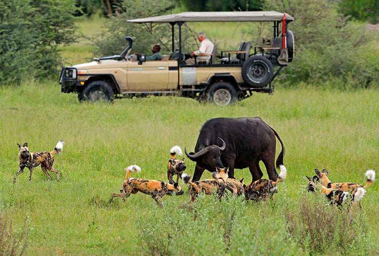 Chobe National Park