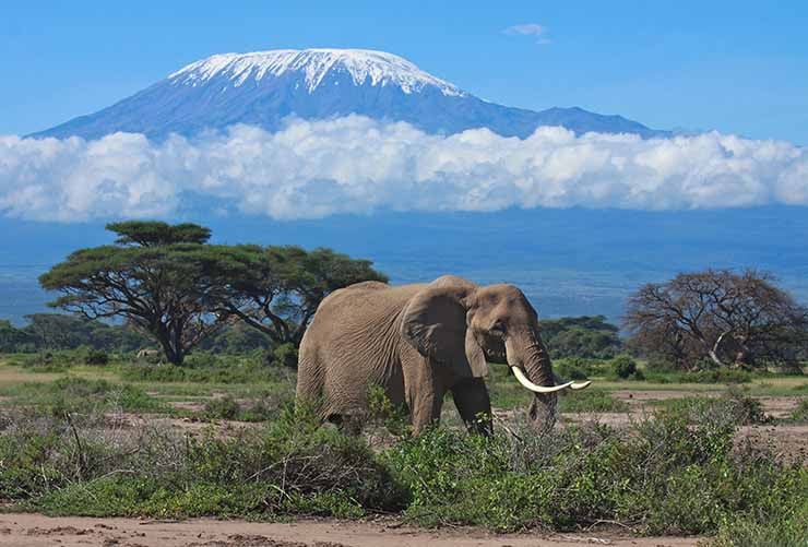 Amboseli