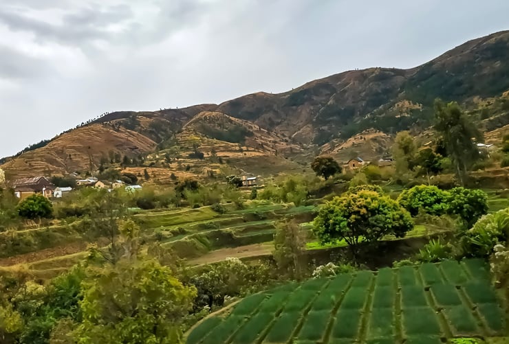 Miandrivazo
