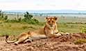 Kruger