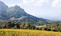 Stellenbosch