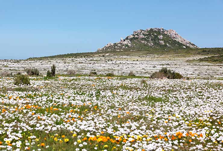Langebaan