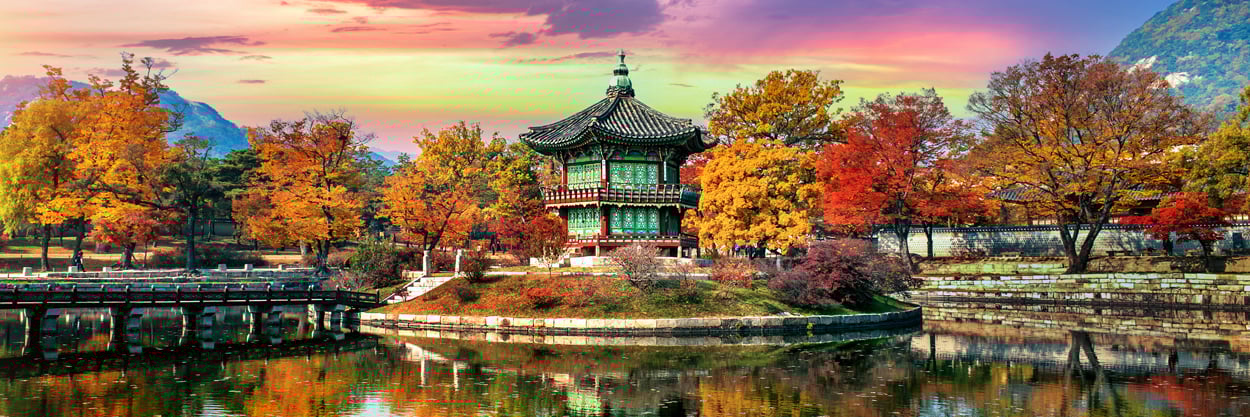recommended tours