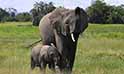 Lake Manyara