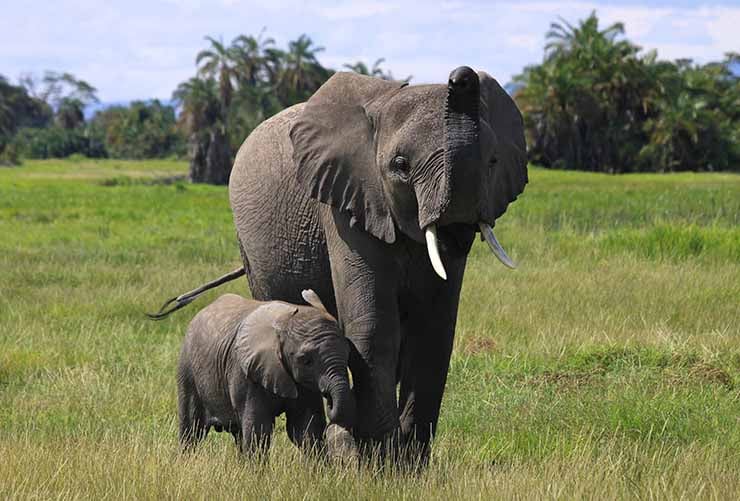 Lake Manyara