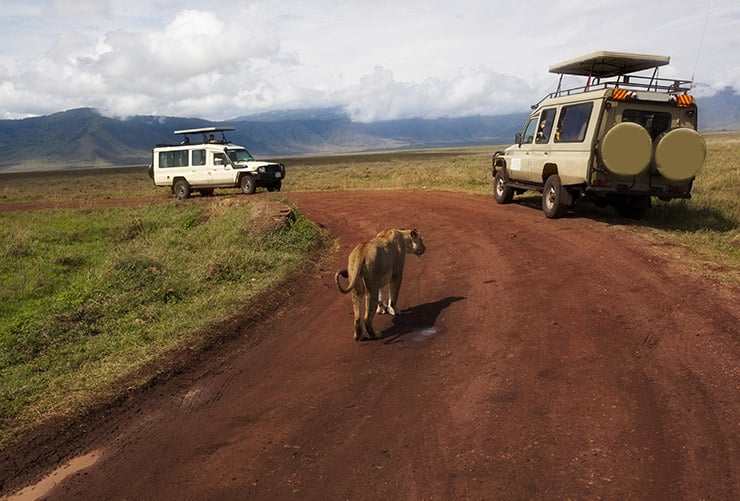 Ngorongoro Crater