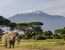 Holidays to Amboseli National Park