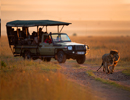 Holidays to Masai Mara