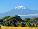 Holidays to kilimanjaro