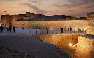 culture-history