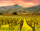 Holidays to Napa Valley