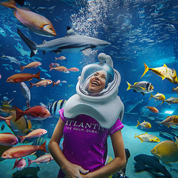 marine-animal-adventures